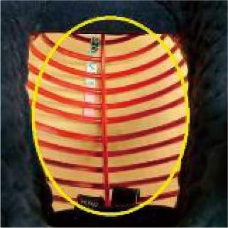 面金（めんがね）内側塗り直し